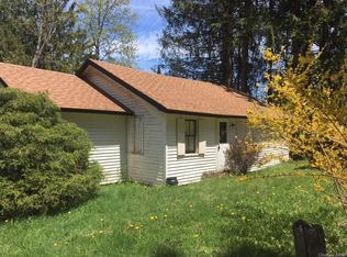 16 Center Lake Rd, Livingston Manor, NY 12758