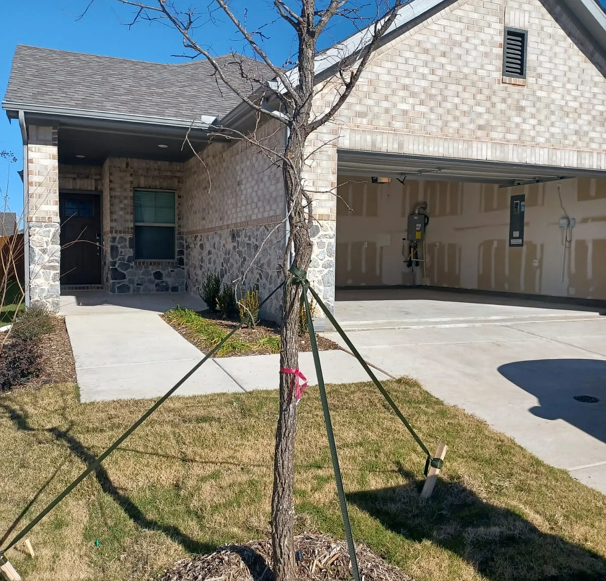 3 bed, 1551 sqft, $2,400 — Photo 4