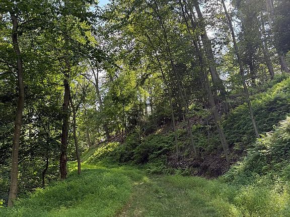 2nd image of Cushion Peak Rd