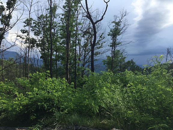 5th image of Pine Top Ln