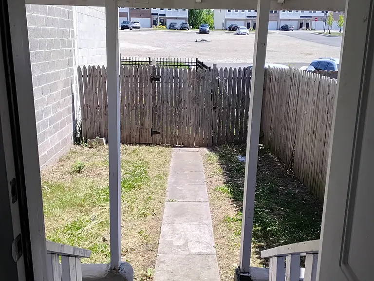 Back yard