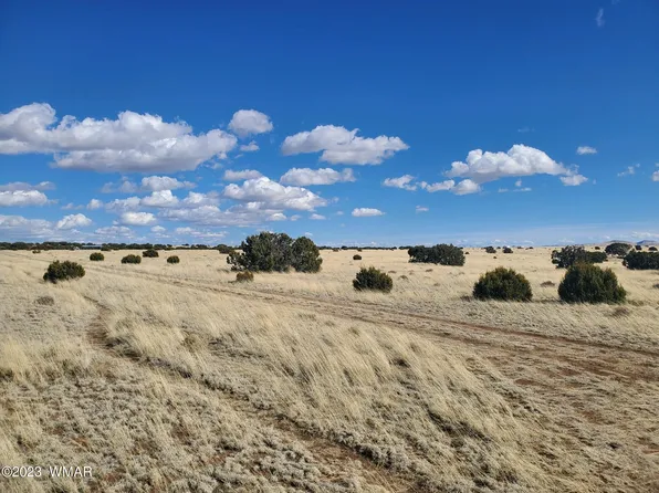 County Road 5143, Concho, AZ 85924