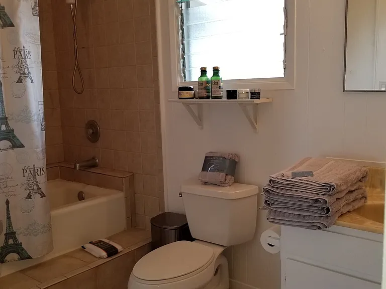 enormous tiled bathtub w/shower
