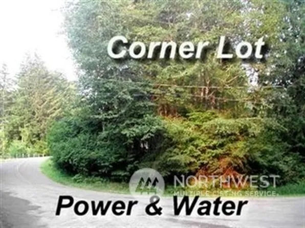 106 Nisqually Way, Ashford, WA 98328