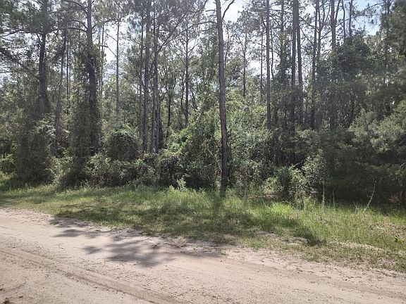 3rd image of 4545 Palatka Blvd