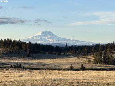 Olson Rd, Centerville, WA, 98613