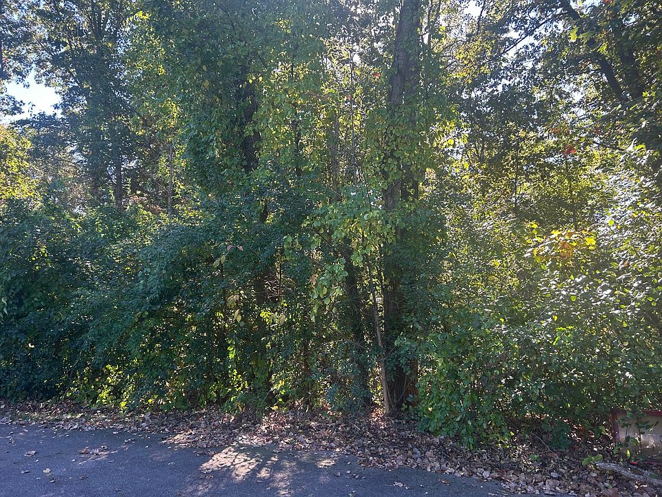 1st image of V/l Altavista Lot 11