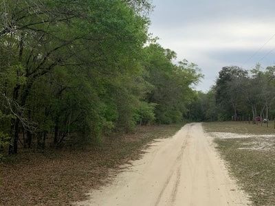 8 NE Trestle Dr Lot 21, Mayo, FL, 32066