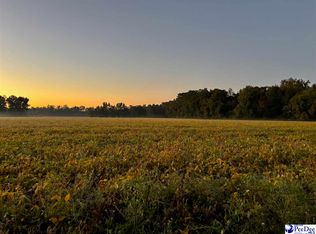 2018 Timmons Rd, Effingham, SC 29541