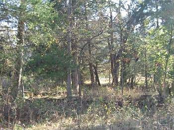2nd image of 188 County Road 2183
