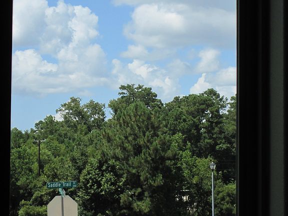 View from guest bath 