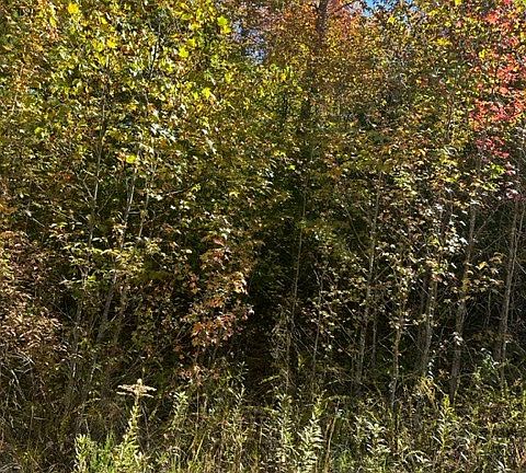 2nd image of LOT 35 Buckeye Ln