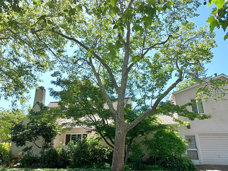Side view of home