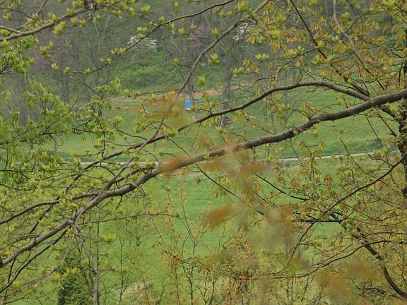 View from high point