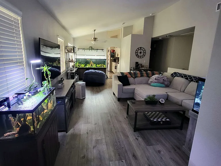 6364 Horizon Ridge Ct — Photo 3