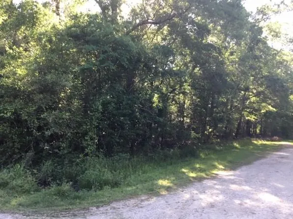 0 Brook Tree, Livingston, TX 77351