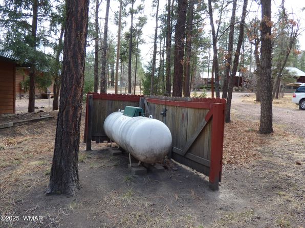 30 County Road 2066, Alpine, AZ 85920