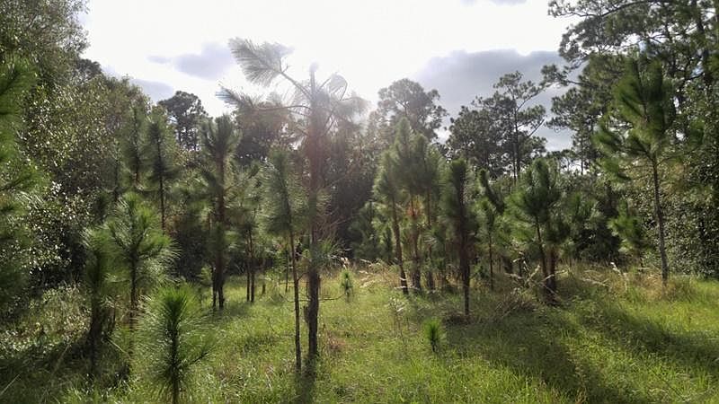 2nd image of Tbd Oak Alley