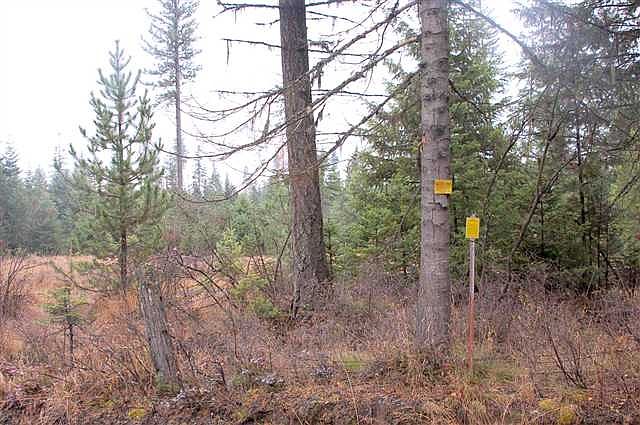 2nd image of PARCEL 2 Wilkins Rd