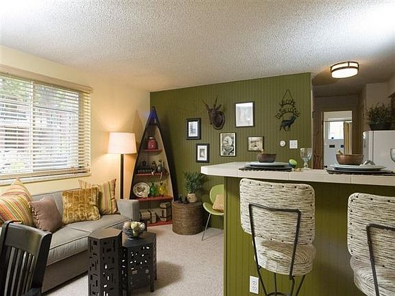 Open Kitchen and Living Area