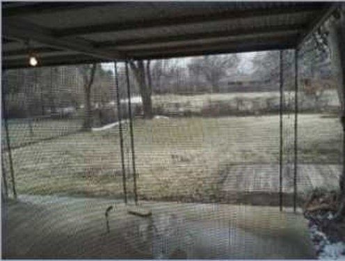 4th image of 9307 Waverly Ave