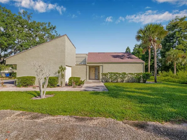 13509 Palmwood Ln, Tampa, FL 33618