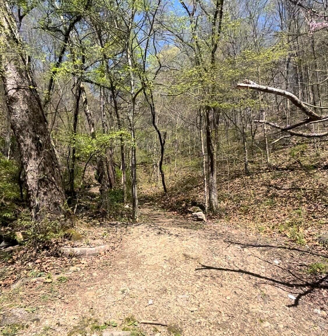 61 Highway E, Luttrell, TN 37779 Zillow