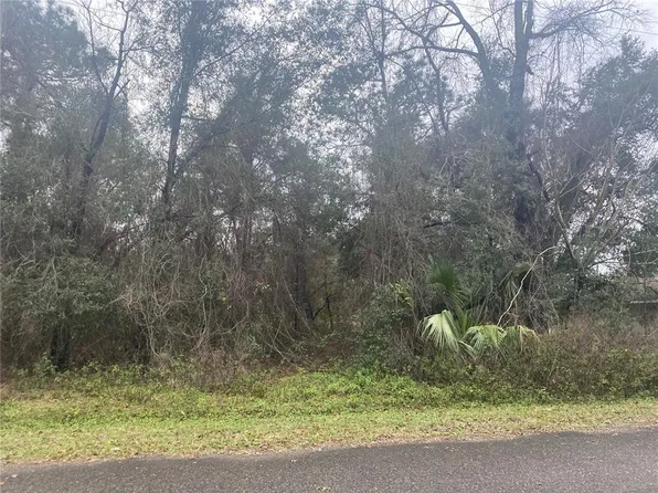 0 Guava Trak #11, Ocklawaha, FL 32179