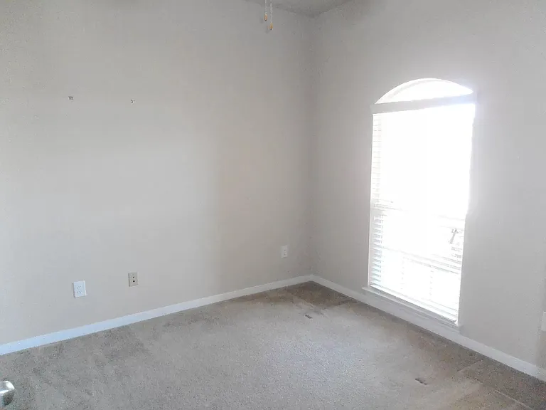 703 Hailie — Photo 13
