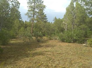 2960 W Blazingstar Rd, Show Low, AZ 85901