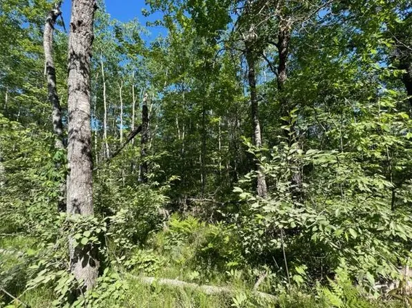 WOODPECKER ROAD, WI 54156