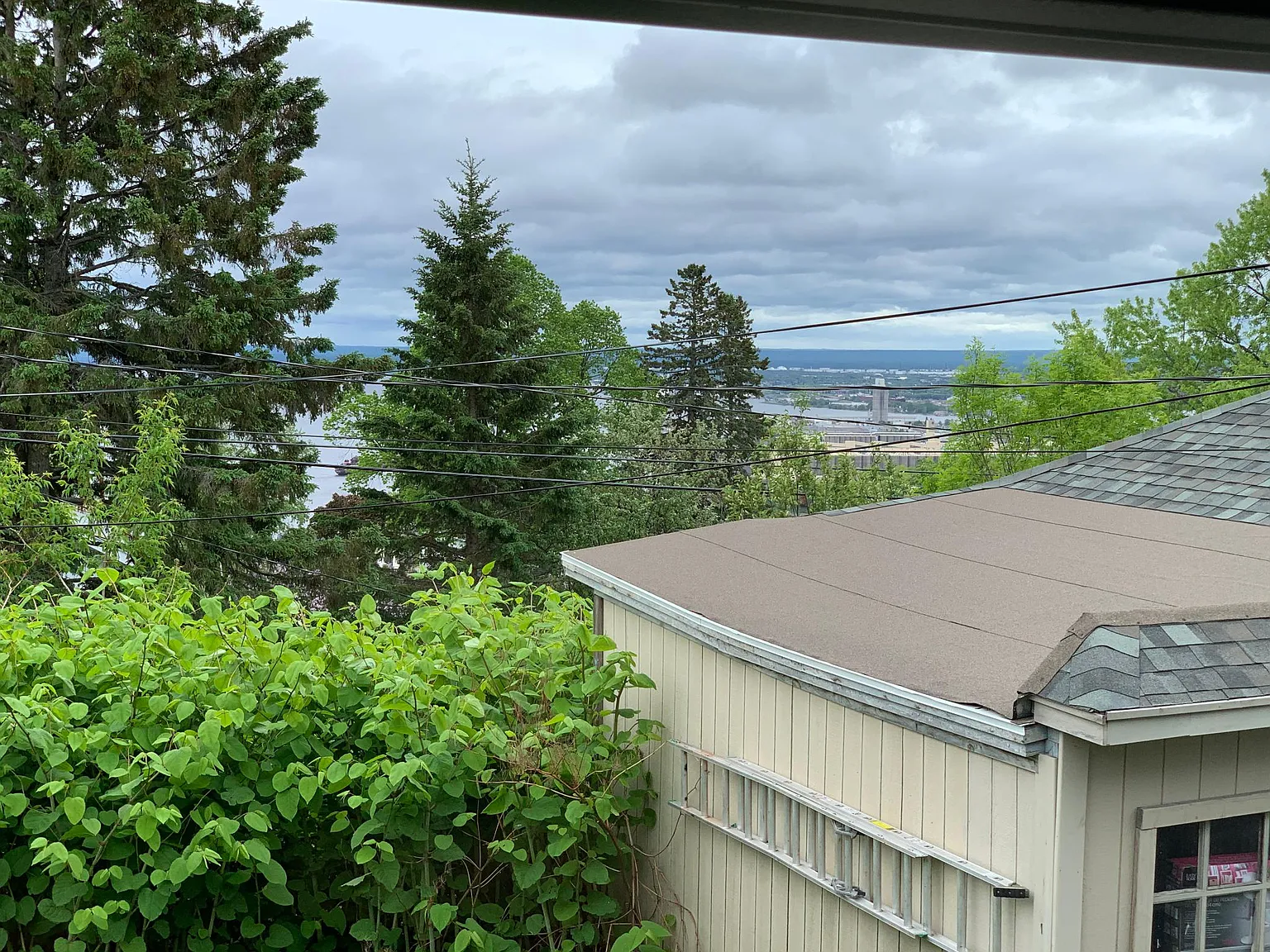 2 bed, 1200 sqft, $1,550 — Photo 4