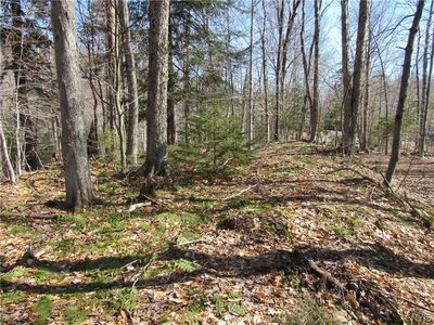 (Undisclosed Address), Old Forge, NY, 13420