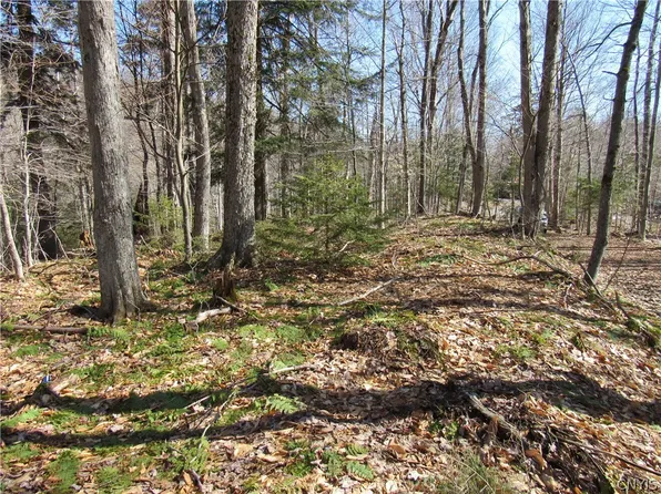 (undisclosed Address), Old Forge, NY 13420