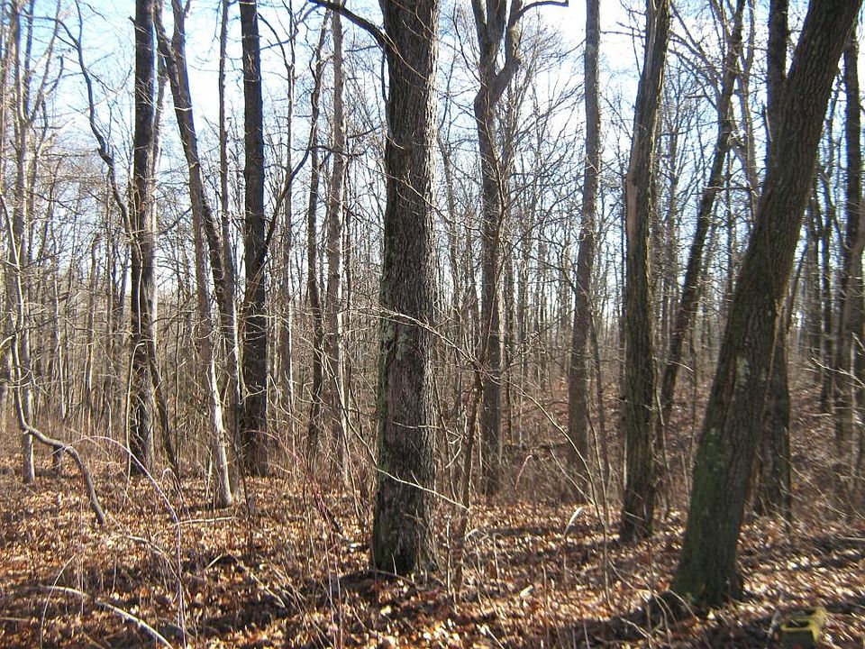 2nd image of Running Deer