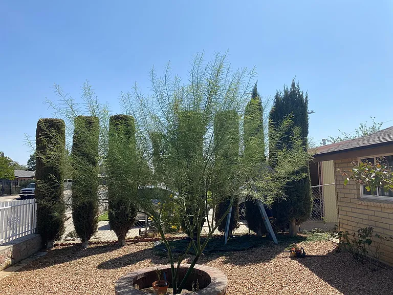 7116 Orange Tree Ln — Photo 4