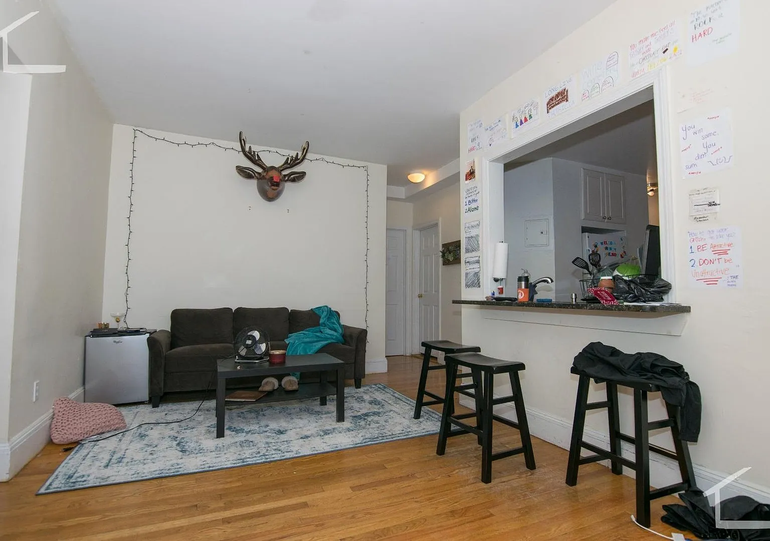 9/1/26 Renovated 4BR/1.5BA on Egmont with heat inc! — Photo 1