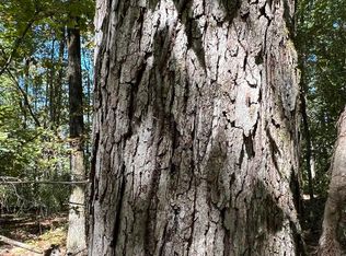 0 Spring Creek Rd, Montevallo, AL 35115