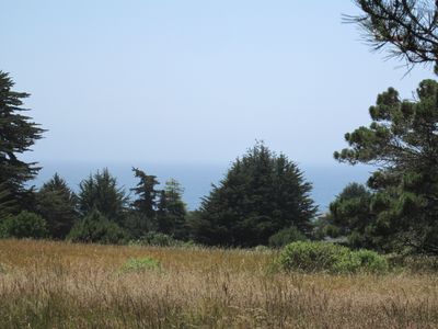 41139 Deer Trl, Sea Ranch, CA 95497 | Zillow