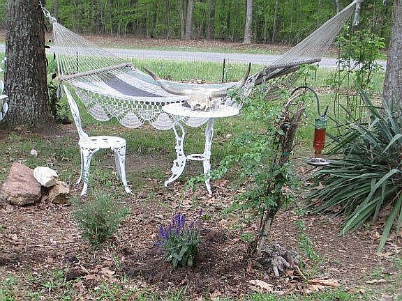 front yard