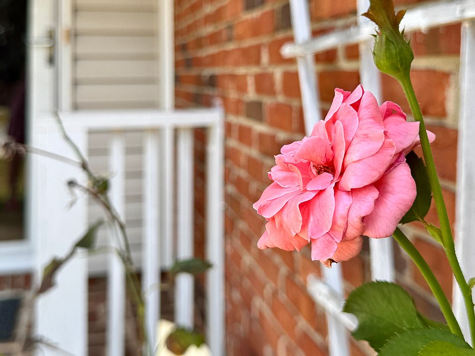 6319 Olde Towne Drive