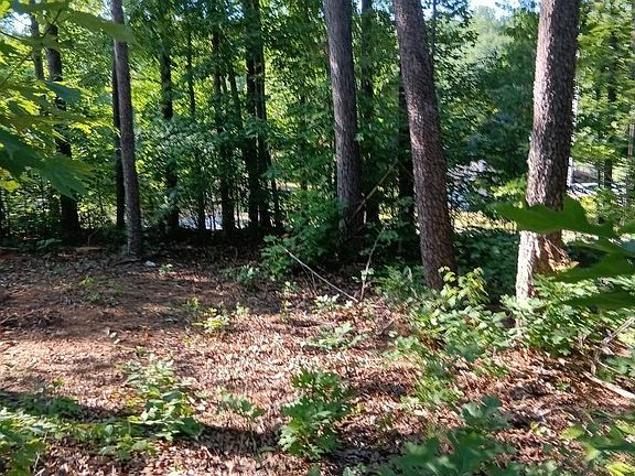 5th image of 133 Sunny Ln