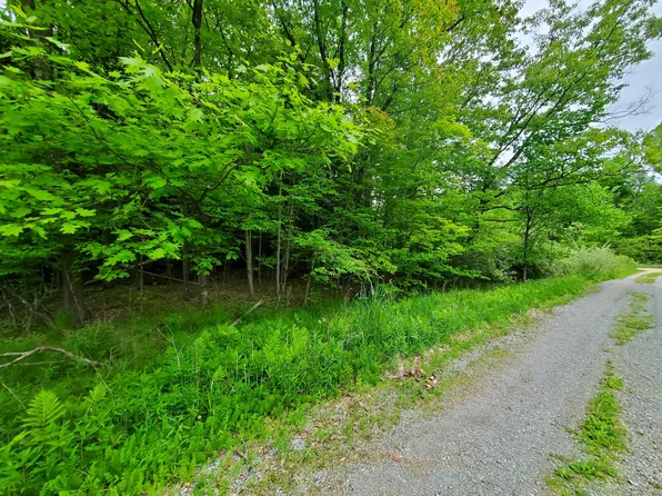 V/l E Arthur Rd, Rothbury, MI 49452