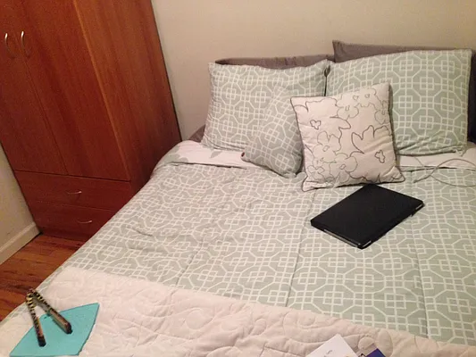 Rented by GPS Realty NYC | media 13