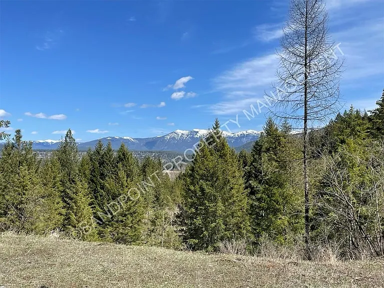 4174 Cow Creek Rd — Photo 11