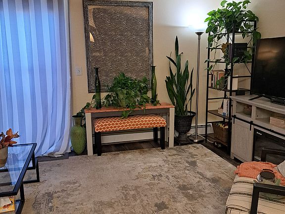 Living Room with TV Stand