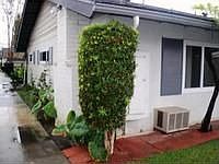 1st image of 134 S Magnolia Ave Unit 11C