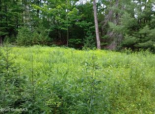 L30 Lane Road, Minerva, NY 12853