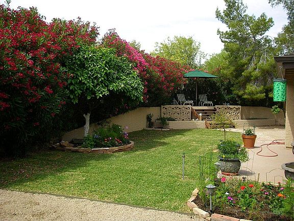 New Landscaping mid 2009