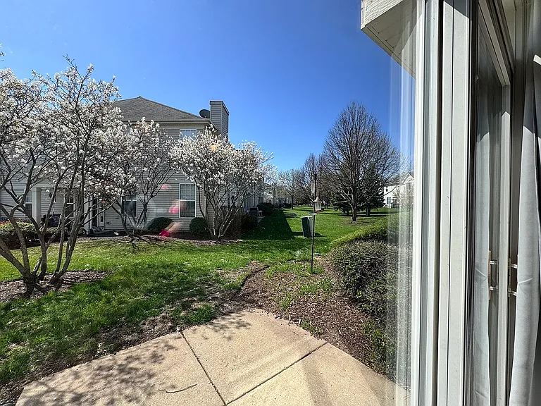 Rear house View